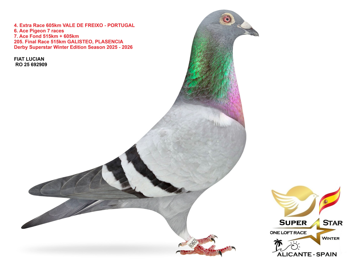 Extra Race 605km Superstar Winter - part 1