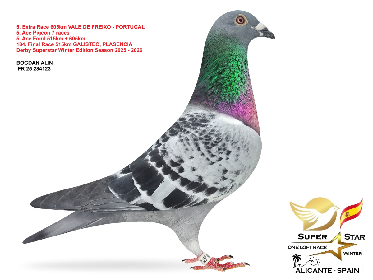 Extra Race 605km Superstar Winter - part 1