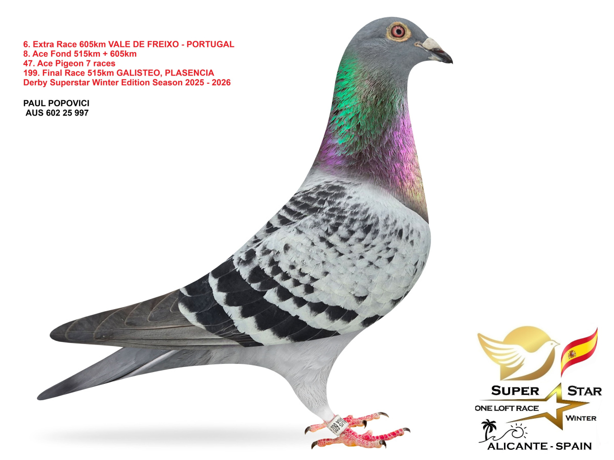 Extra Race 605km Superstar Winter - part 1