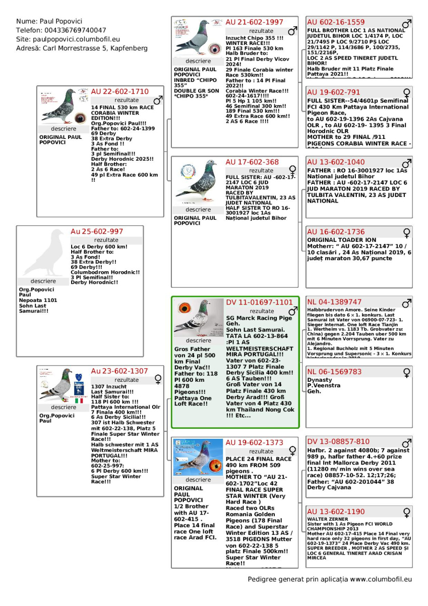 6. Extra Race 605km VALE DE FREIXO - PORTUGAL,
8. Ace Fond 515km + 605km,
47. Ace Pigeon 7 races,
199. Final Race 515km GALISTEO, PLASENCIA
Derby Superstar Winter Edition Season 2025 - 2026 

PAUL POPOVICI
 AUS 602 25 997 
