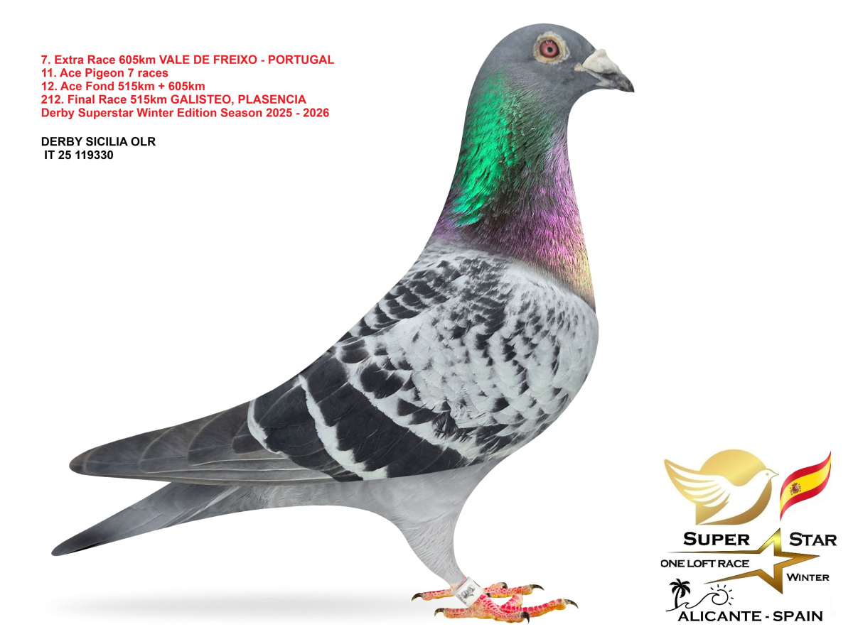 Extra Race 605km Superstar Winter - part 1