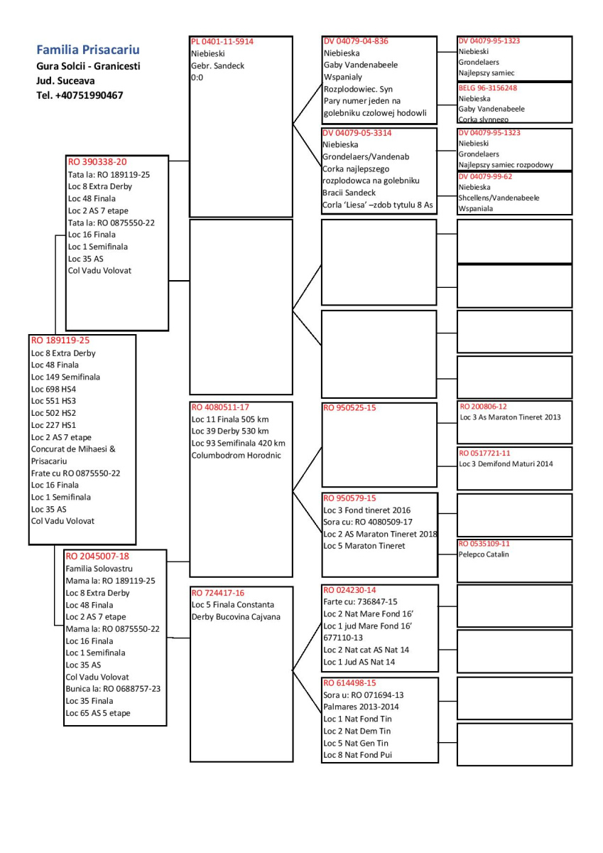 8. Extra Race 605km VALE DE FREIXO - PORTUGAL,
2. Ace Pigeon 7 races,
2. Ace Fond 515km + 605km,
48. Final Race 515km GALISTEO, PLASENCIA,
149. Semifinal Race 330km NAMBROCA
Derby Superstar Winter Edition Season 2025 - 2026 


MIHAESI & PRISACARU
 RO 25 189119 
