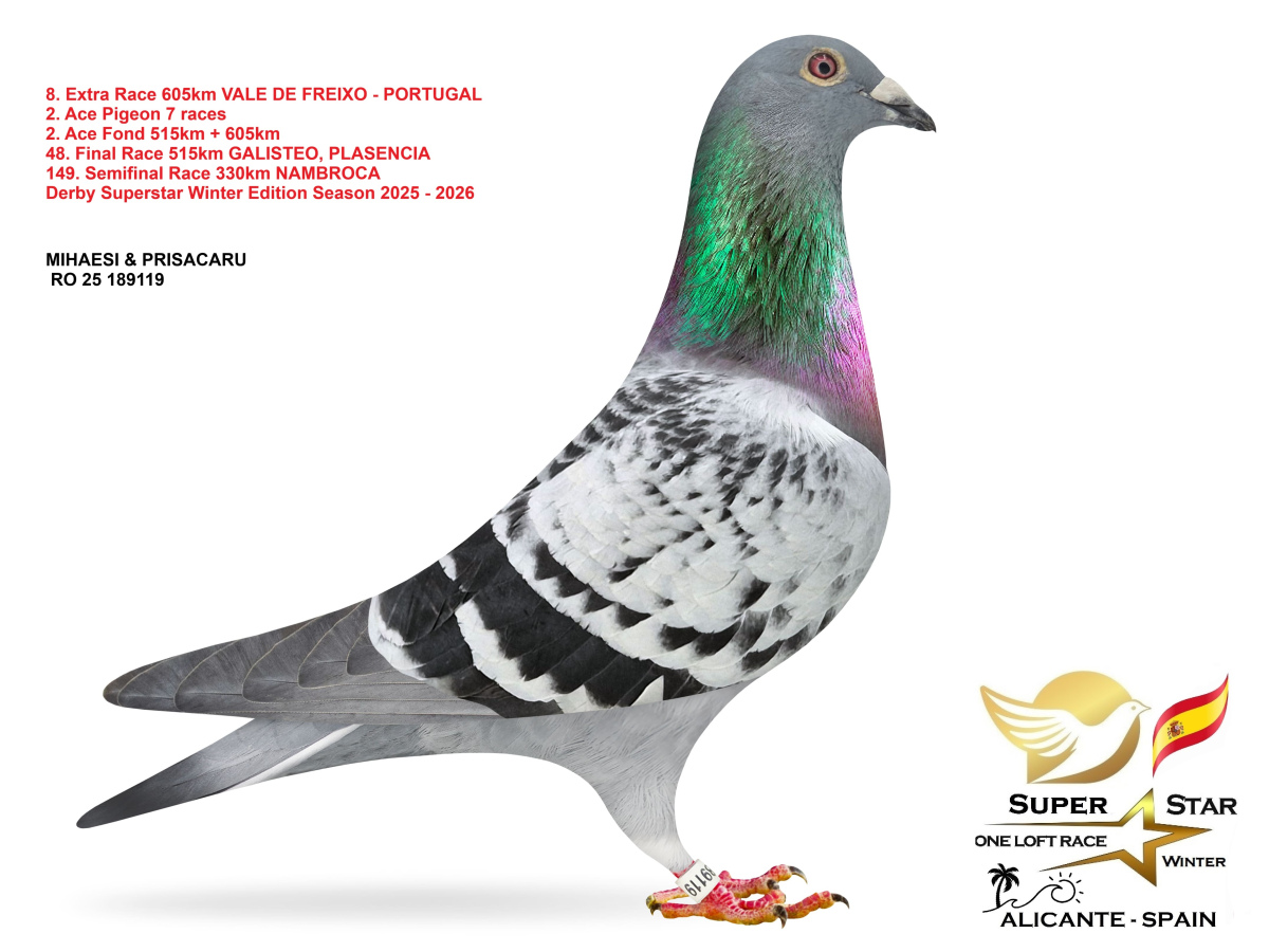 Extra Race 605km Superstar Winter - part 1