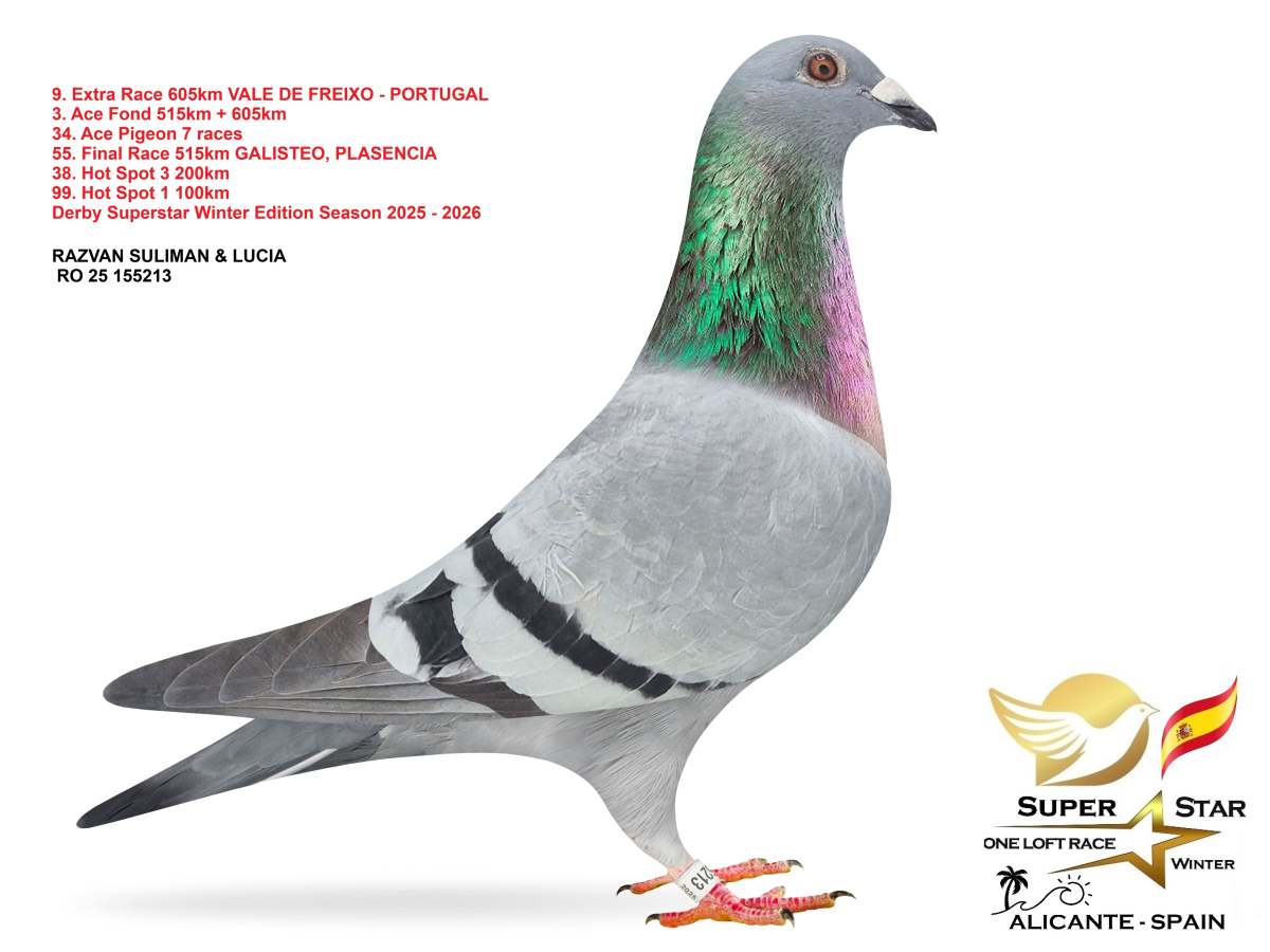 Extra Race 605km Superstar Winter - part 1