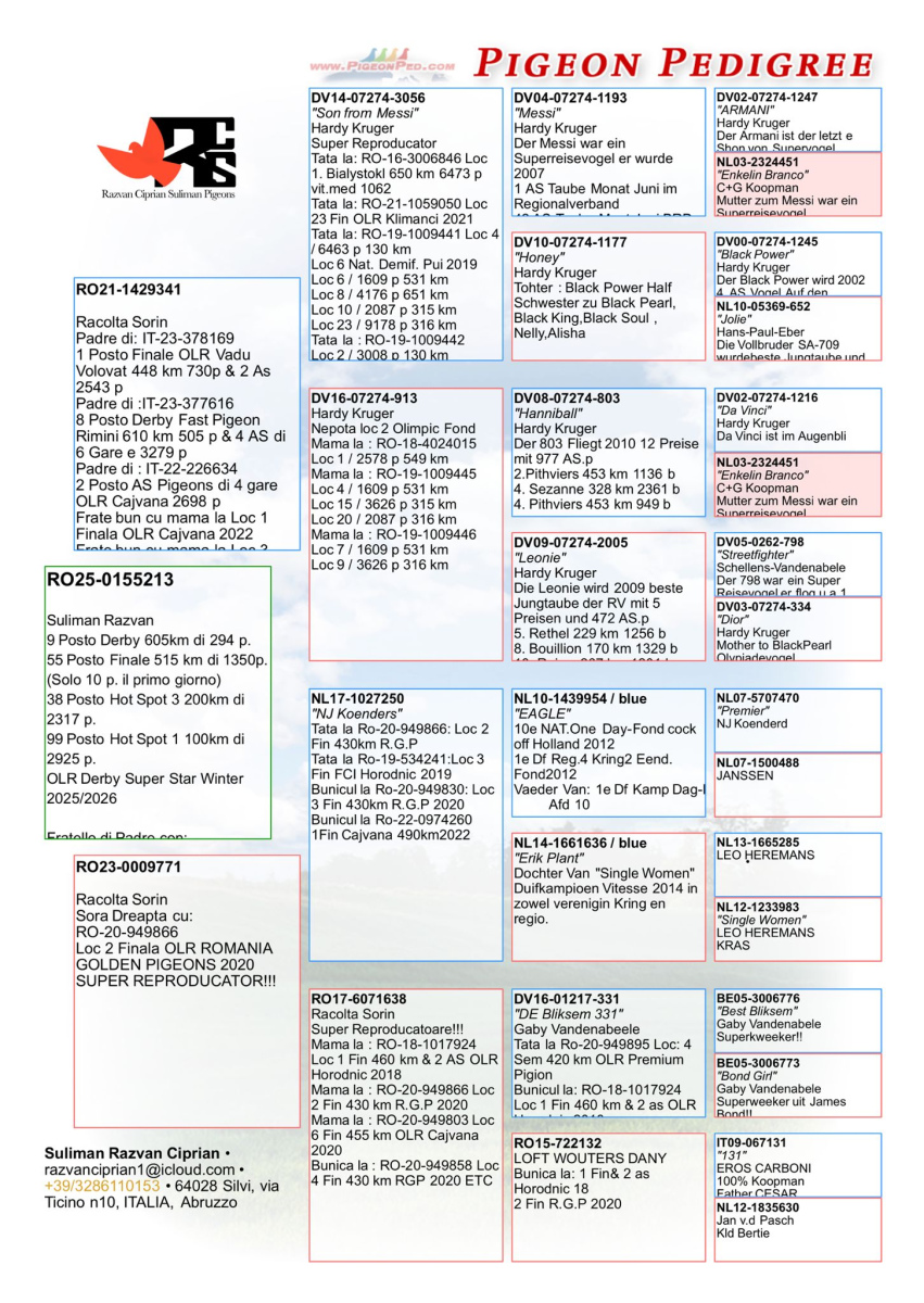 9. Extra Race 605km VALE DE FREIXO - PORTUGAL, 
3. Ace Fond 515km + 605km,
34. Ace Pigeon 7 races,
55. Final Race 515km GALISTEO- PLASENCIA,
38. Hot Spot 3 200km,
99. Hot Spot 1 100km
Derby Superstar Winter Edition Season 2025 - 2026 

RAZVAN SULIMAN & LUCIA
 RO 25 155213 