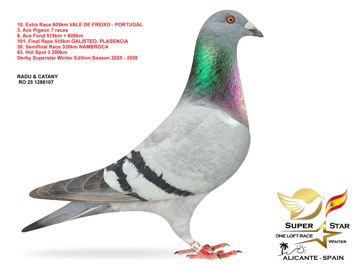 Extra Race 605km Superstar Winter - part 1