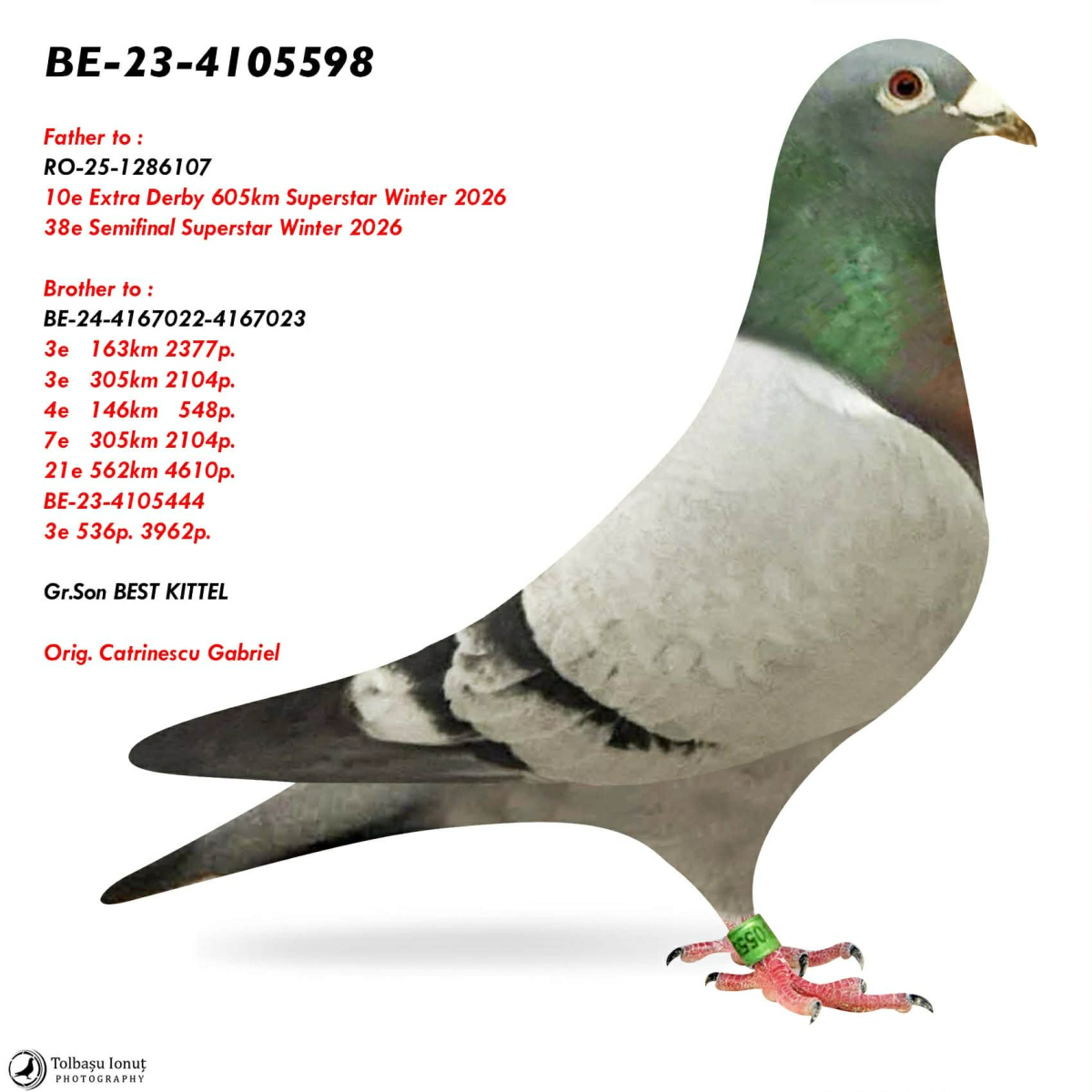 10. Extra Race 605km VALE DE FREIXO - PORTUGAL
3. Ace Pigeon 7 races
6. Ace Fond 515km + 605km
101. Final Race 515km GALISTEO, PLASENCIA
38. Semifinal Race 330km NAMBROCA
63. Hot Spot 3 200km
Derby Superstar Winter Edition Season 2025 - 2026 


RADU & CATANY
 RO 25 1286107