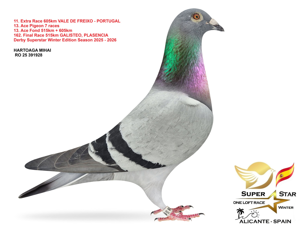 Extra Race 605km Superstar Winter - part 1