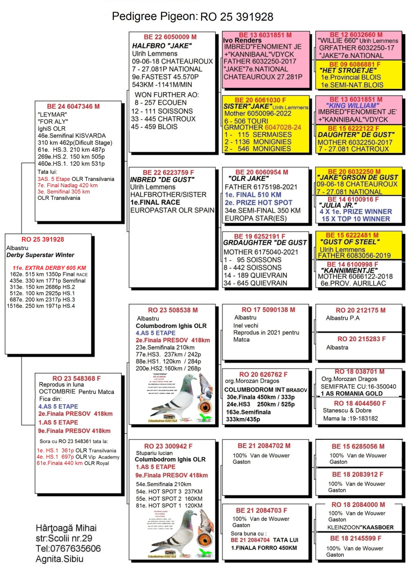 11. Extra Race 605km VALE DE FREIXO - PORTUGAL,
13. Ace Pigeon 7 races,
13. Ace Fond 515km + 605km,
162. Final Race 515km GALISTEO - PLASENCIA
Derby Superstar Winter Edition Season 2025 - 2026 

HARTOAGA MIHAI
 RO 25 391928 