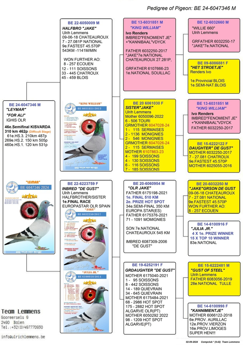 11. Extra Race 605km VALE DE FREIXO - PORTUGAL,
13. Ace Pigeon 7 races,
13. Ace Fond 515km + 605km,
162. Final Race 515km GALISTEO - PLASENCIA
Derby Superstar Winter Edition Season 2025 - 2026 

HARTOAGA MIHAI
 RO 25 391928 