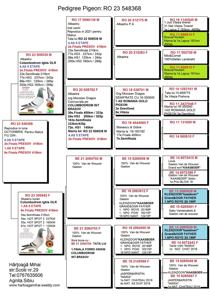 11. Extra Race 605km VALE DE FREIXO - PORTUGAL,
13. Ace Pigeon 7 races,
13. Ace Fond 515km + 605km,
162. Final Race 515km GALISTEO - PLASENCIA
Derby Superstar Winter Edition Season 2025 - 2026 

HARTOAGA MIHAI
 RO 25 391928 