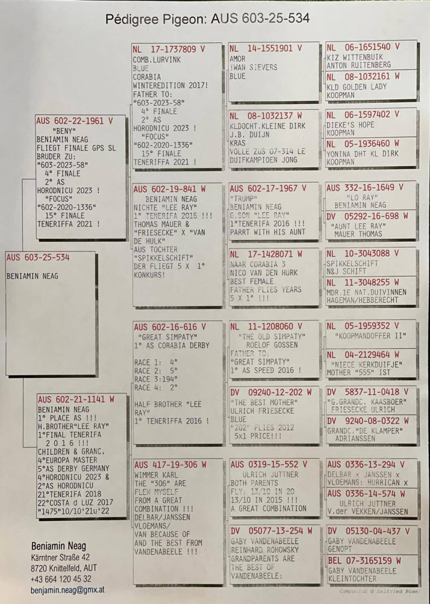 12. Extra Race 605km VALE DE FREIXO - PORTUGAL,
4. Ace Fond 515km + 605km,
10. Ace Pigeon 7 races,
73. Final Race 515km GALISTEO - PLASENCIA
Derby Superstar Winter Edition Season 2025 - 2026 

CALIN HABACI + SUTEU CALIN
 AUS 603 25 534
