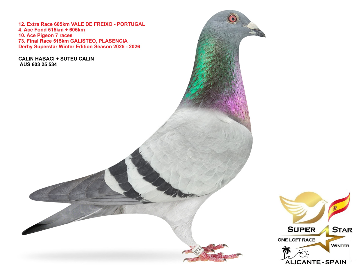 Extra Race 605km Superstar Winter - part 1