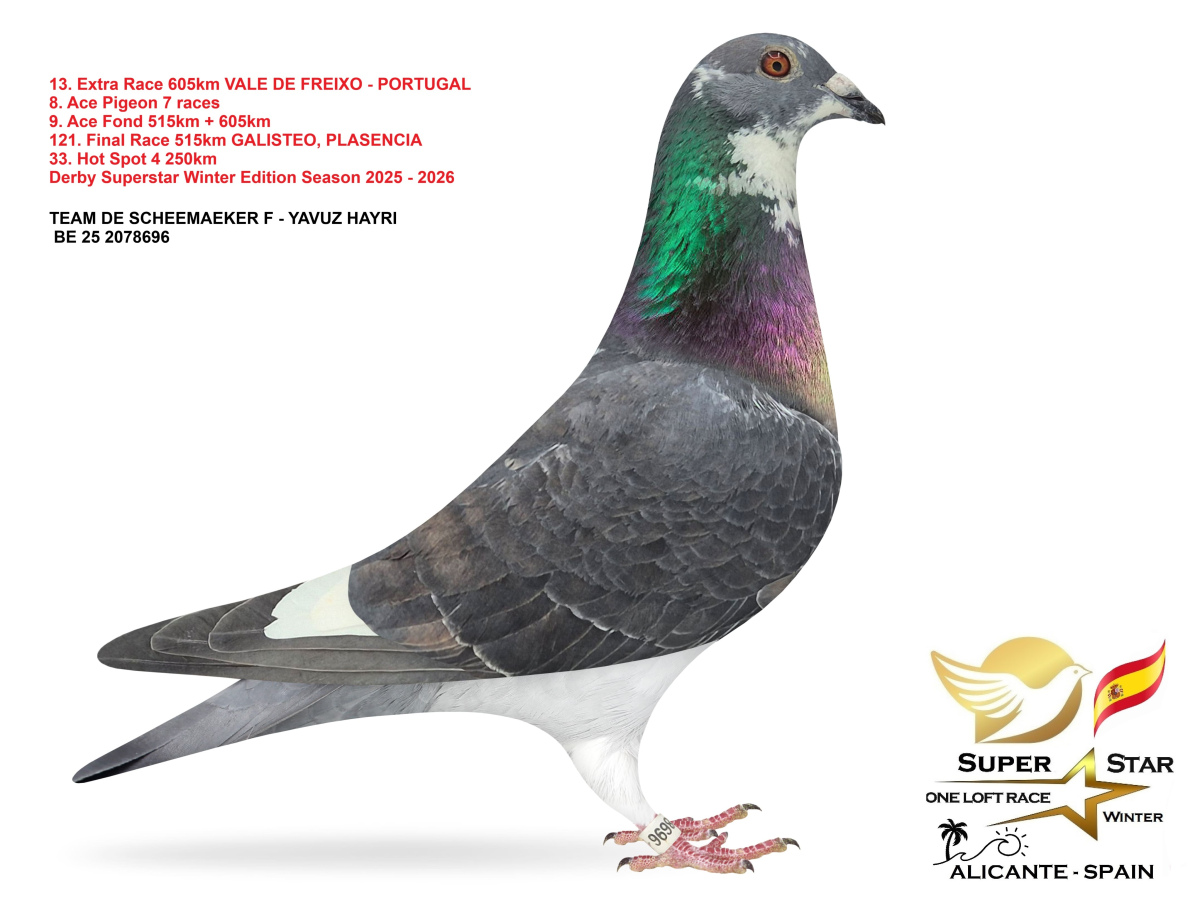 Extra Race 605km Superstar Winter - part 1