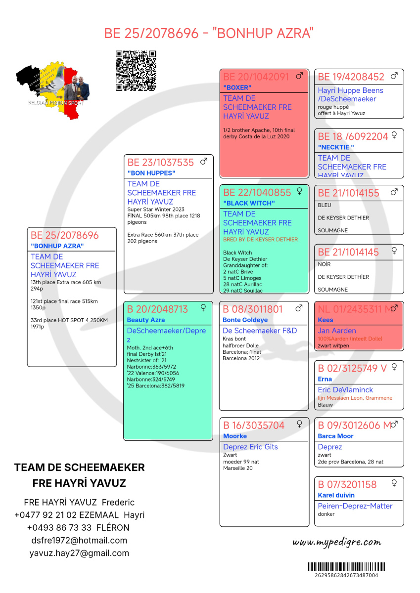 13. Extra Race 605km VALE DE FREIXO - PORTUGAL,
8. Ace Pigeon 7 races,
9. Ace Fond 515km + 605km,
121. Final Race 515km GALISTEO - PLASENCIA,
33. Hot Spot 4 250km
Derby Superstar Winter Edition Season 2025 - 2026 

TEAM DE SCHEEMAEKER F - YAVUZ HAYRI
 BE 25 2078696