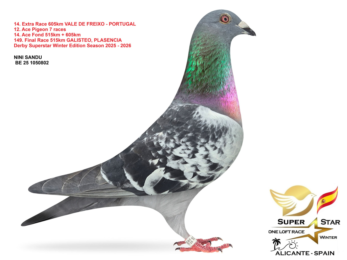 Extra Race 605km Superstar Winter - part 1