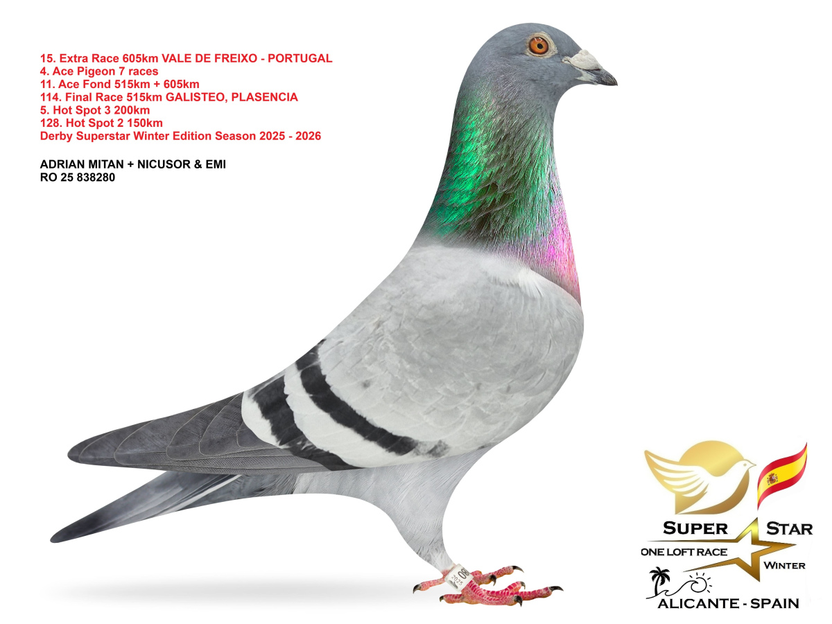 Extra Race 605km Superstar Winter - part 1