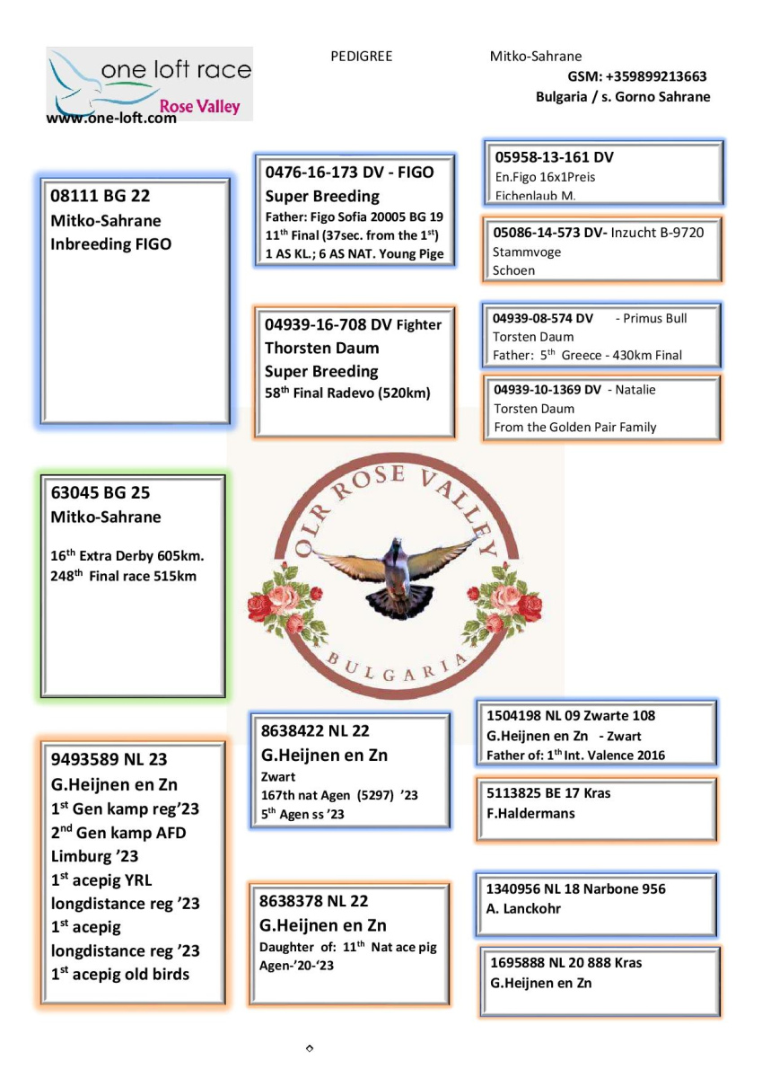 16. Extra Race 605km VALE DE FREIXO - PORTUGAL,
17. Ace Fond 515km + 605km
Derby Superstar Winter Edition Season 2025 - 2026 

OLR VALE ROZE
 BG 25 63045
