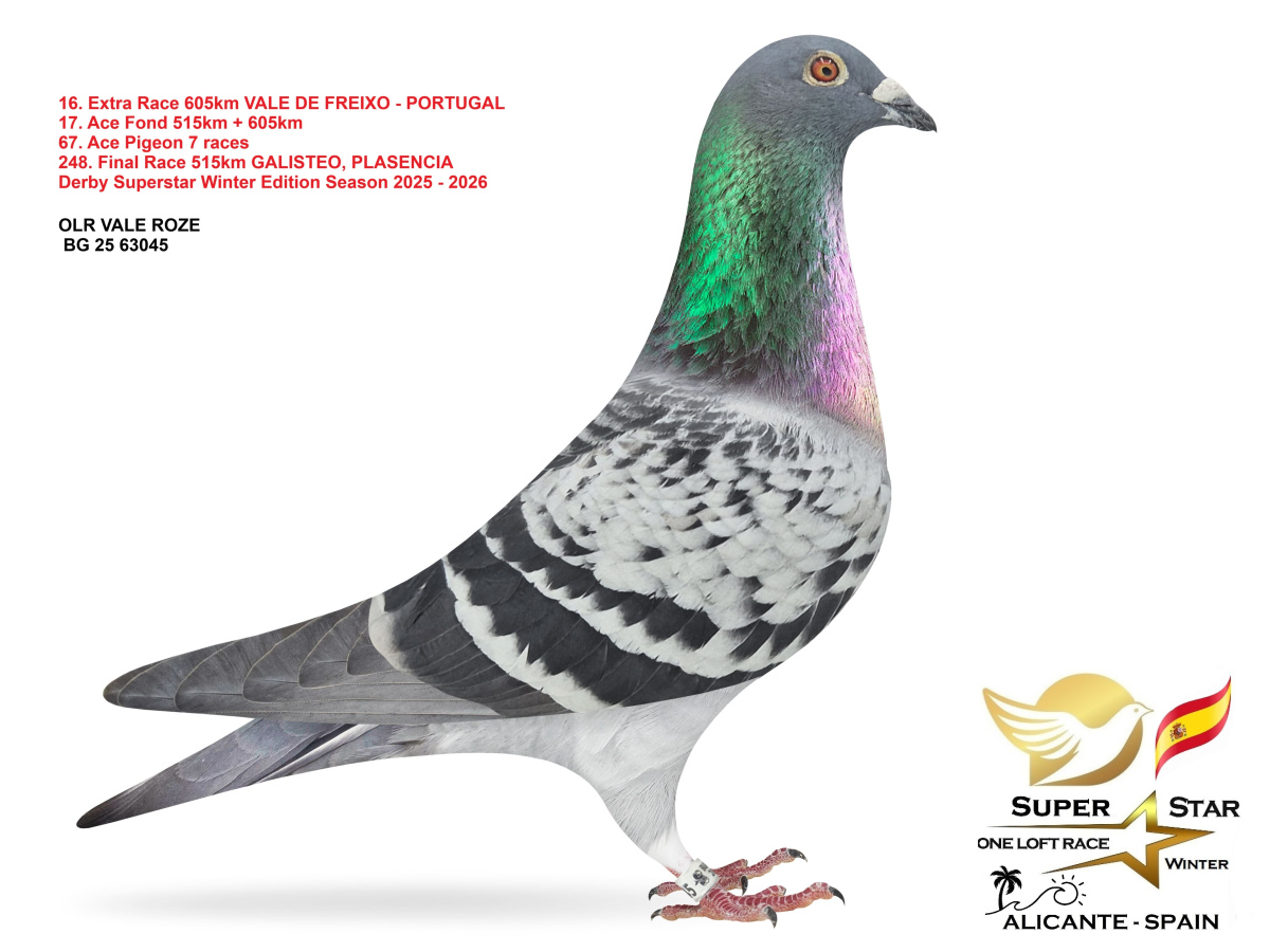 Extra Race 605km Superstar Winter - part 1