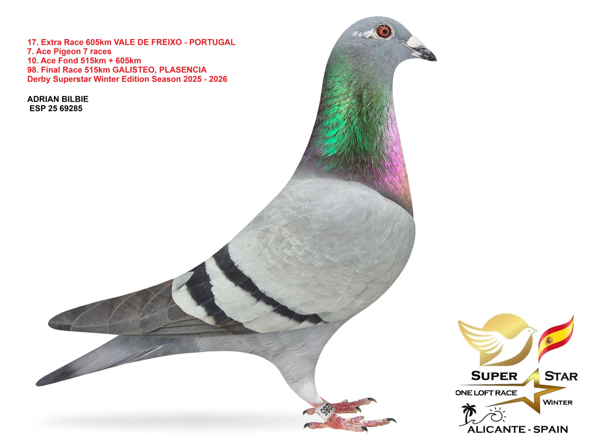 Extra Race 605km Superstar Winter - part 1