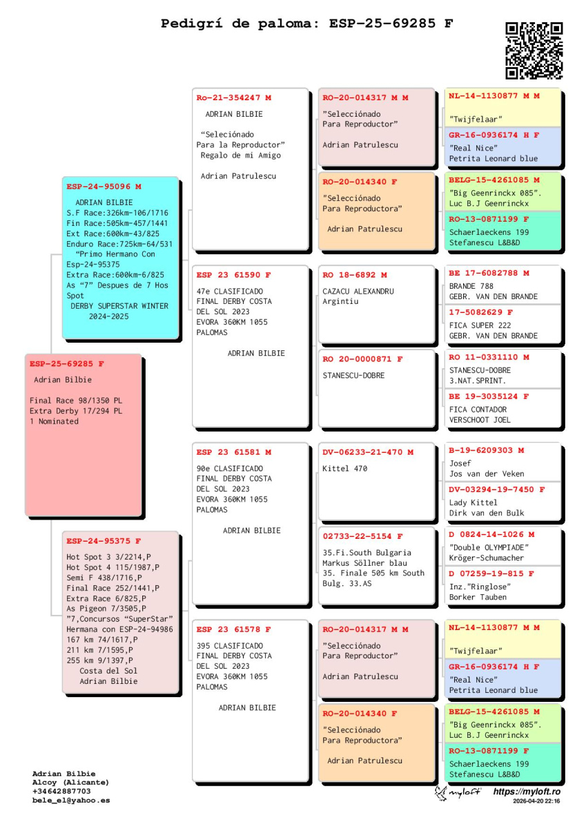 17. Extra Race 605km VALE DE FREIXO - PORTUGAL,
7. Ace Pigeon 7 races,
10. Ace Fond 515km + 605km,
98. Final Race 515km GALISTEO - PLASENCIA
Derby Superstar Winter Edition Season 2025 - 2026 

ADRIAN BILBIE
 ESP 25 69285