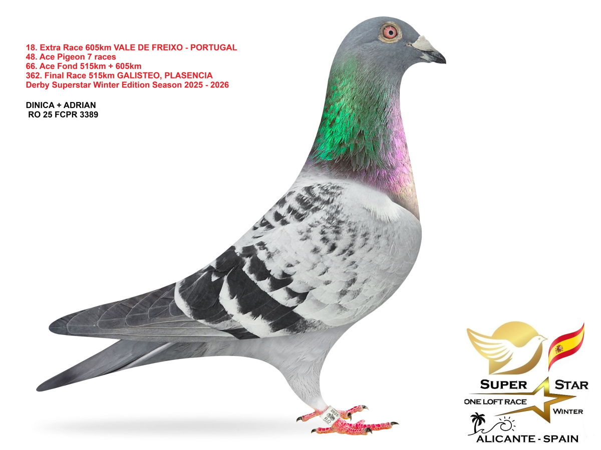 Extra Race 605km Superstar Winter - part 1