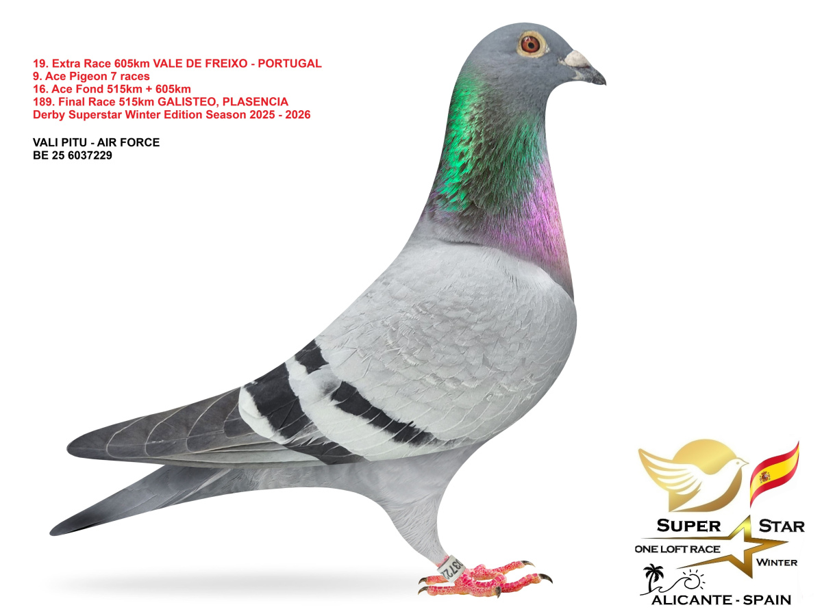 Extra Race 605km Superstar Winter - part 1