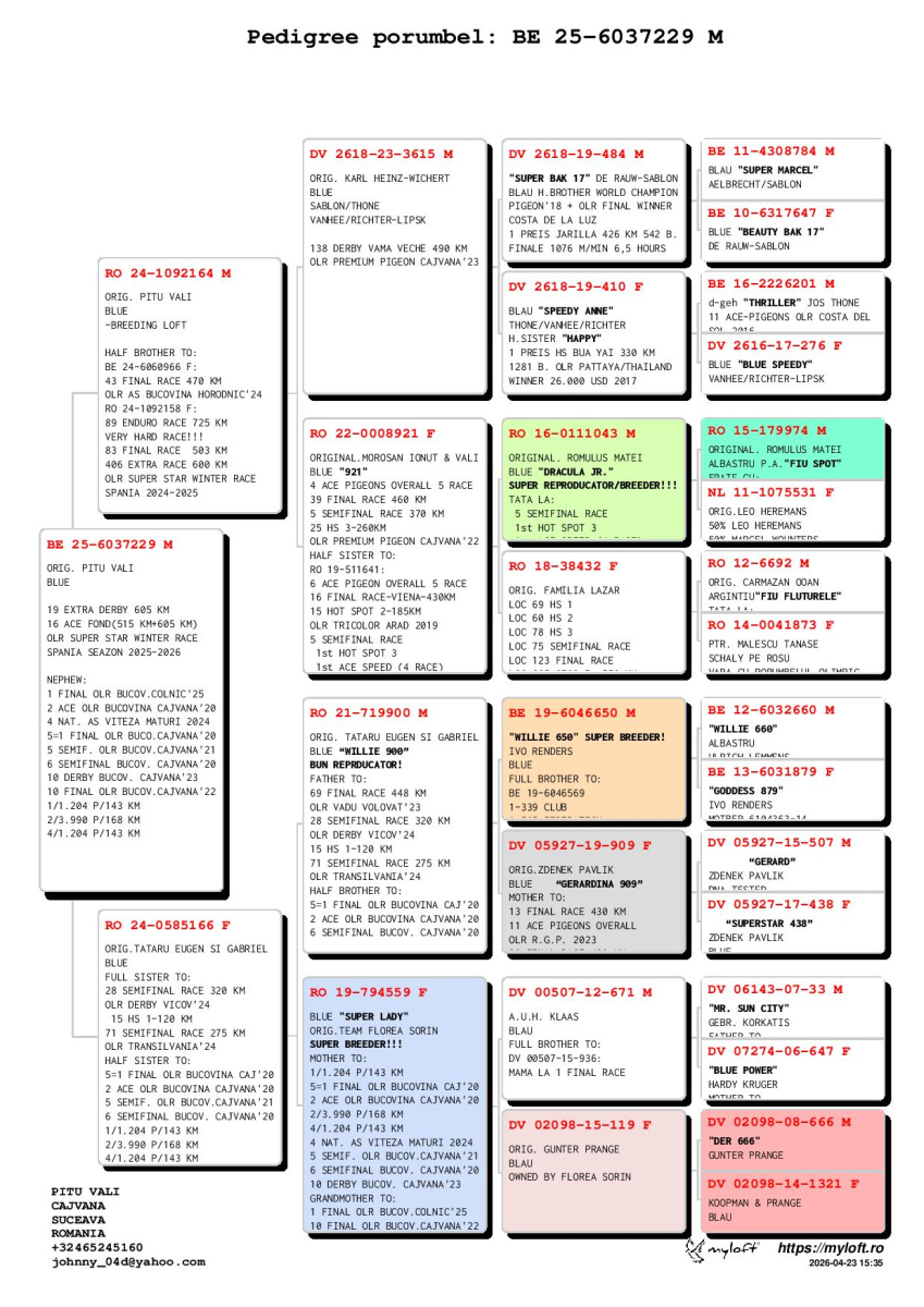 19. Extra Race 605km VALE DE FREIXO - PORTUGAL,
9. Ace Pigeon 7 races,
16. Ace Fond 515km + 605km,
189. Final Race 515km GALISTEO - PLASENCIA
Derby Superstar Winter Edition Season 2025 - 2026 

VALI PITU - AIR FORCE
BE 25 6037229