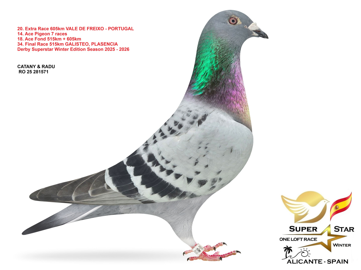 Extra Race 605km Superstar Winter - part 2