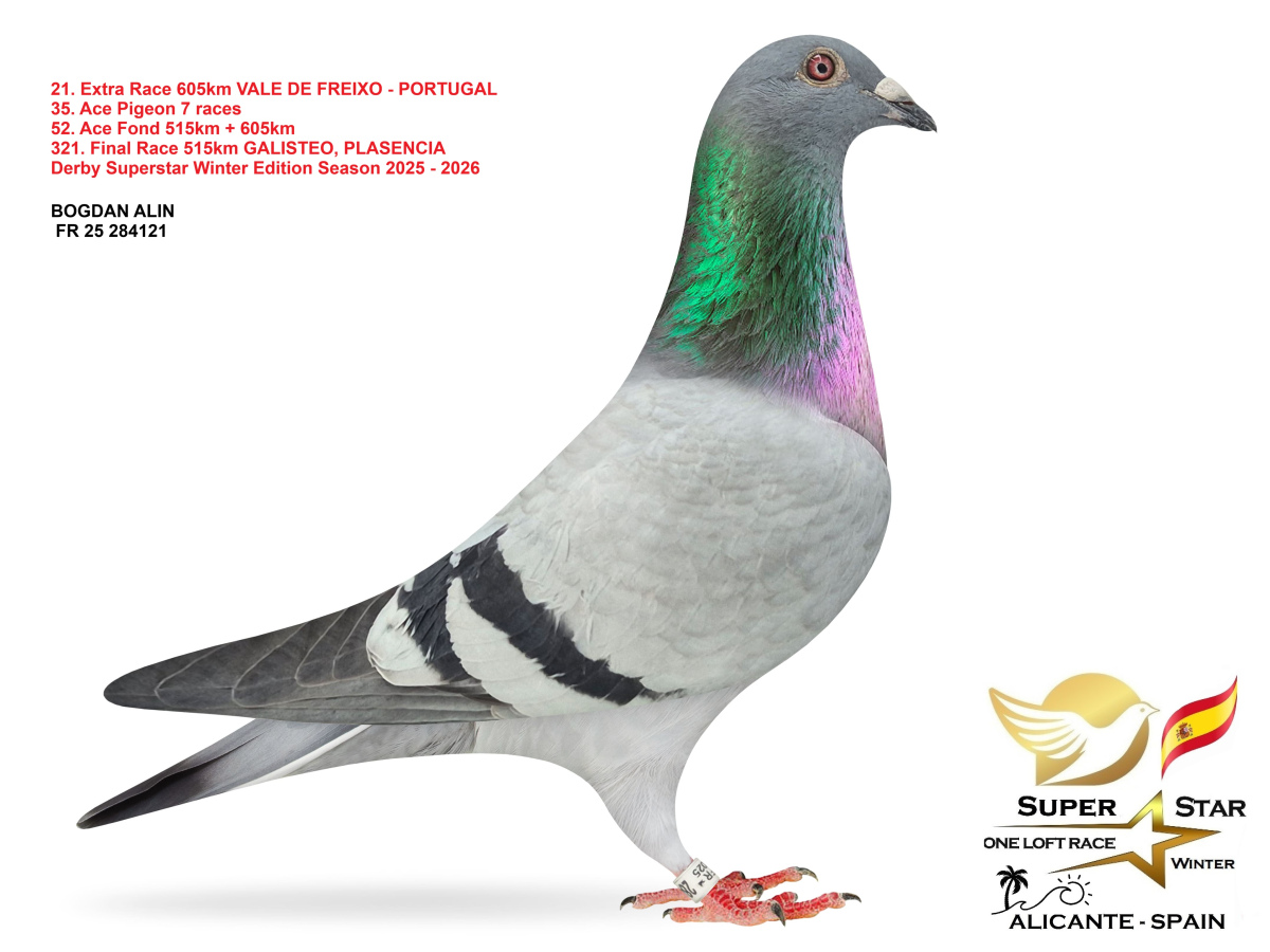 Extra Race 605km Superstar Winter - part 2