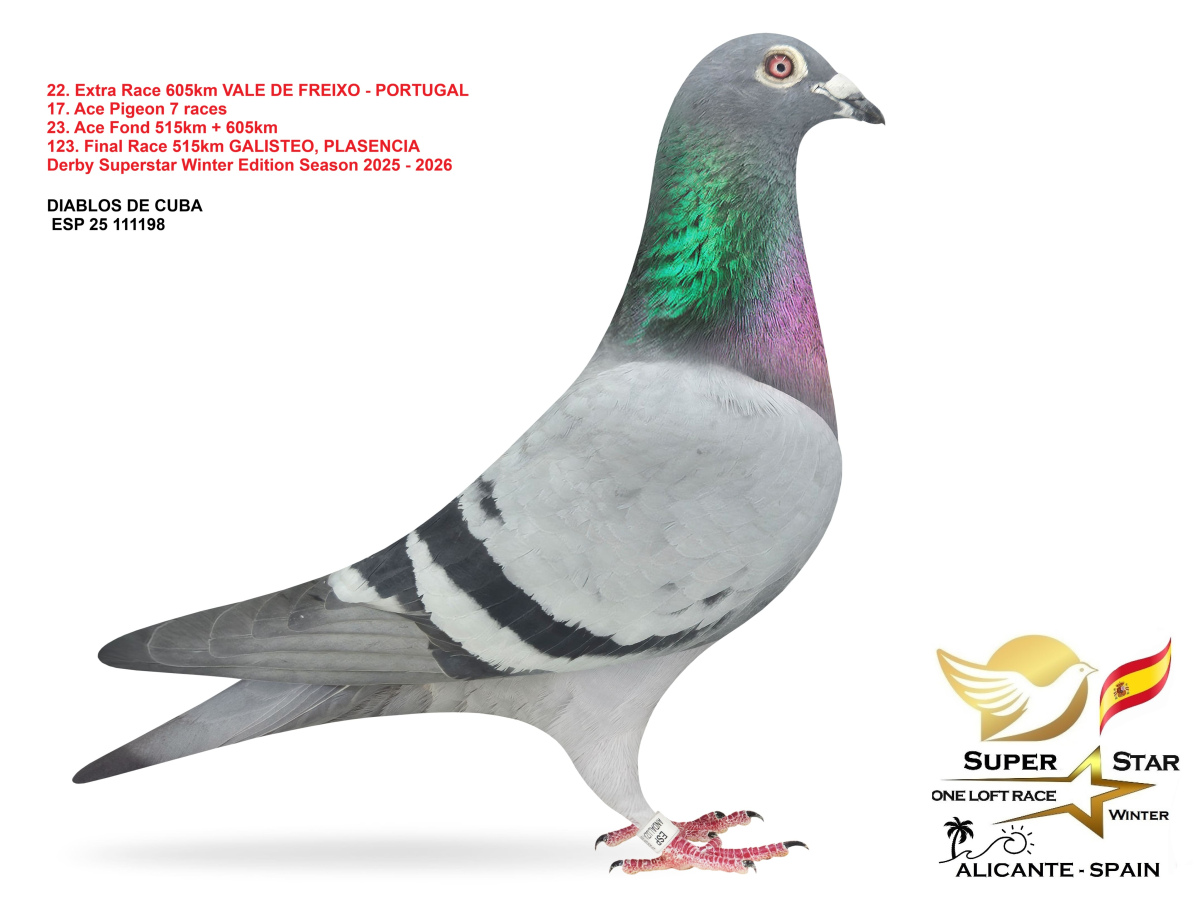 Extra Race 605km Superstar Winter - part 2