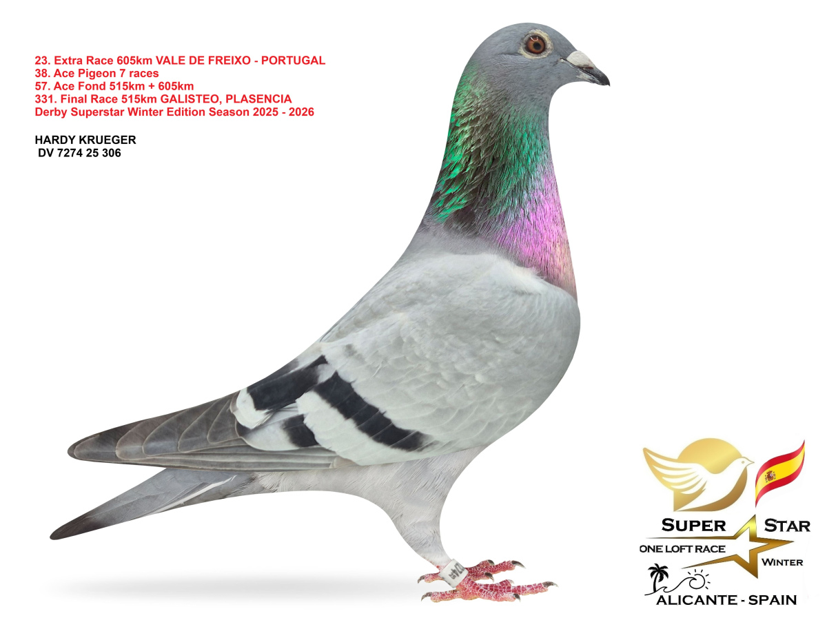 Extra Race 605km Superstar Winter - part 2