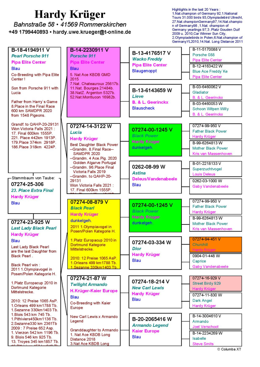 23. Extra Race 605km VALE DE FREIXO - PORTUGAL,
38. Ace Pigeon 7 races,
57. Ace Fond 515km + 605km
Derby Superstar Winter Edition Season 2025 - 2026 

HARDY KRUEGER
 DV 7274 25 306 