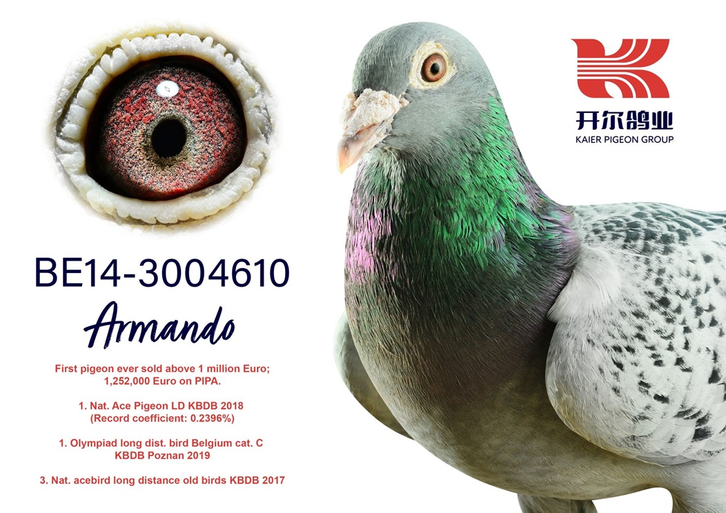 23. Extra Race 605km VALE DE FREIXO - PORTUGAL,
38. Ace Pigeon 7 races,
57. Ace Fond 515km + 605km
Derby Superstar Winter Edition Season 2025 - 2026 

HARDY KRUEGER
 DV 7274 25 306 