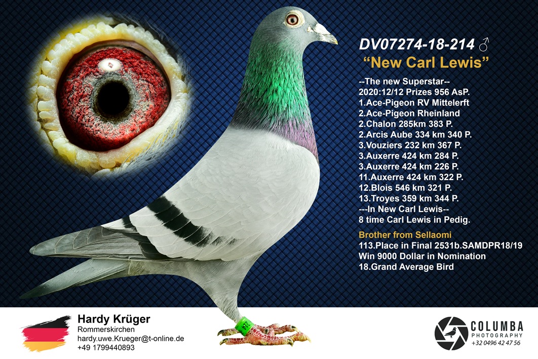 23. Extra Race 605km VALE DE FREIXO - PORTUGAL,
38. Ace Pigeon 7 races,
57. Ace Fond 515km + 605km
Derby Superstar Winter Edition Season 2025 - 2026 

HARDY KRUEGER
 DV 7274 25 306 