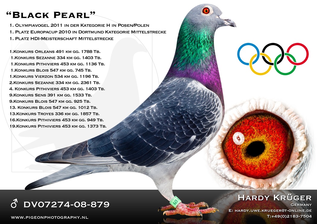 23. Extra Race 605km VALE DE FREIXO - PORTUGAL,
38. Ace Pigeon 7 races,
57. Ace Fond 515km + 605km
Derby Superstar Winter Edition Season 2025 - 2026 

HARDY KRUEGER
 DV 7274 25 306 