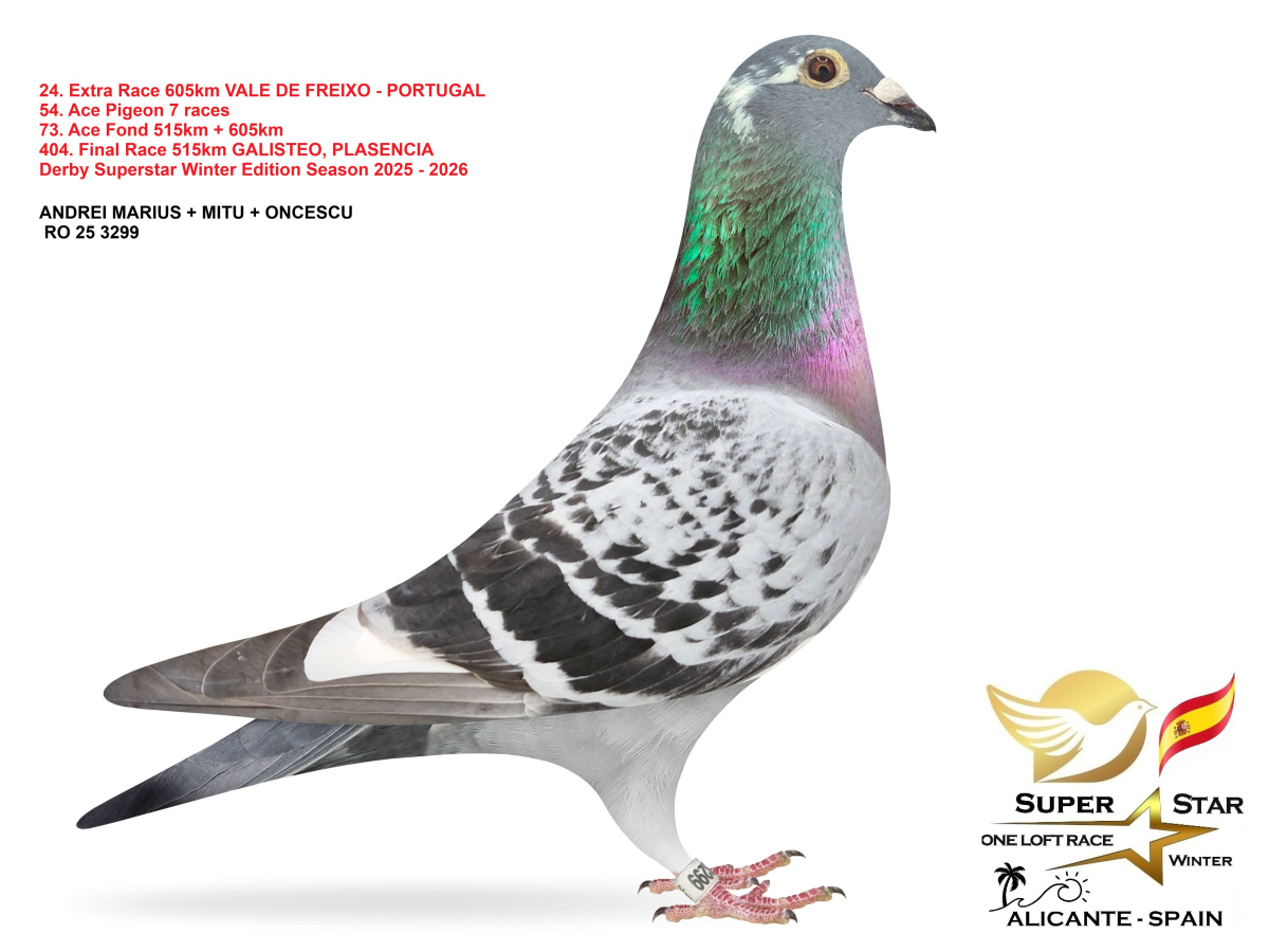 Extra Race 605km Superstar Winter - part 2