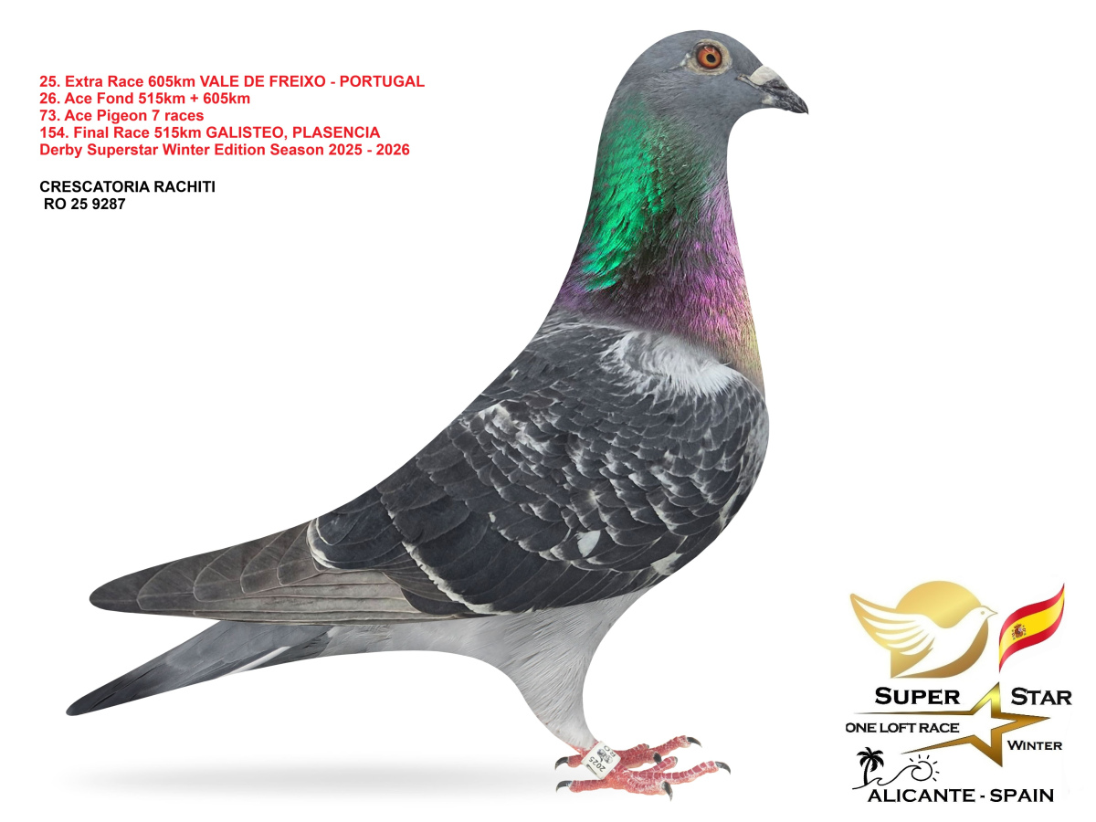 Extra Race 605km Superstar Winter - part 2