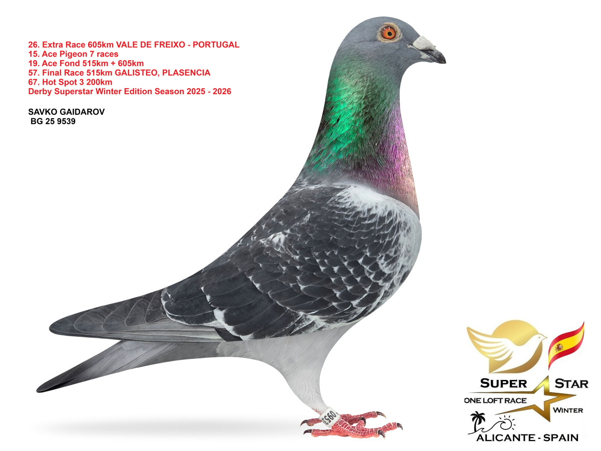 Extra Race 605km Superstar Winter - part 2