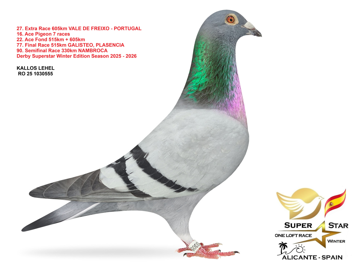 Extra Race 605km Superstar Winter - part 2