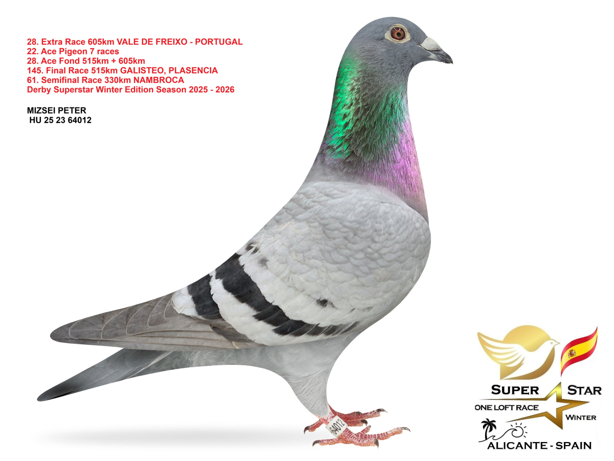 Extra Race 605km Superstar Winter - part 2