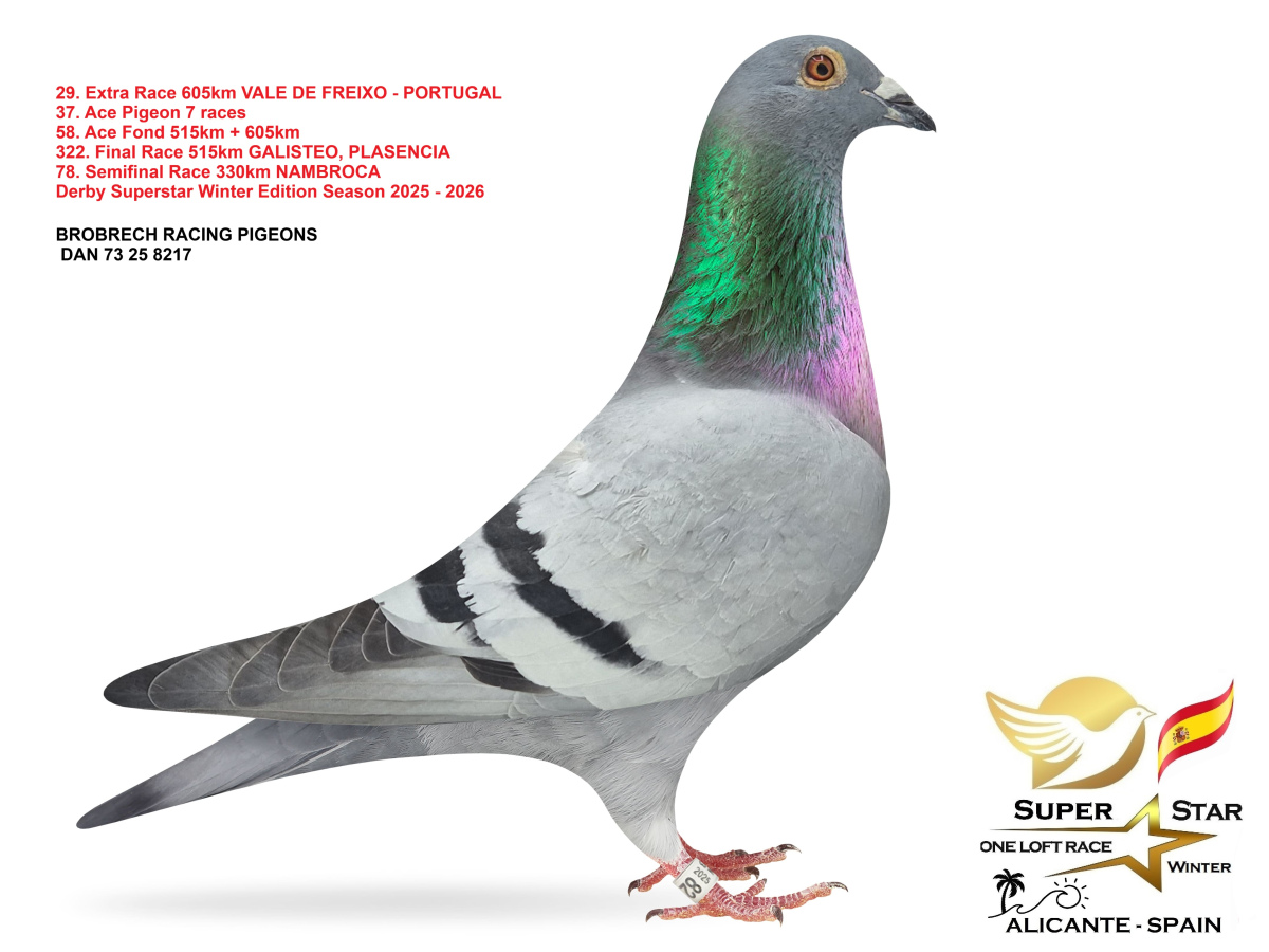 Extra Race 605km Superstar Winter - part 2