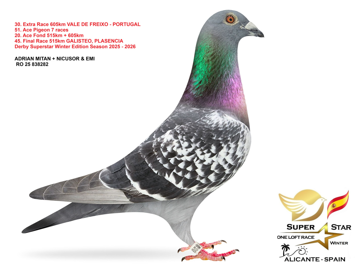 Extra Race 605km Superstar Winter - part 2