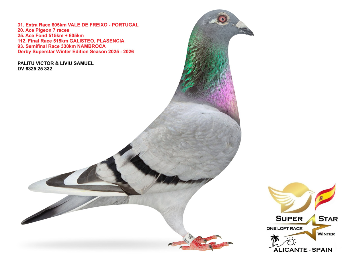 Extra Race 605km Superstar Winter - part 2