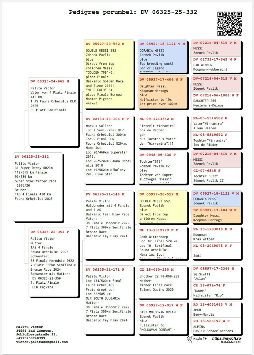 31. Extra Race 605km VALE DE FREIXO - PORTUGAL,
20. Ace Pigeon 7 races,
25. Ace Fond 515km + 605km,
112. Final Race 515km GALISTEO-PLASENCIA,
93. Semifinal Race 330km NAMBROCA
Derby Superstar Winter Edition Season 2025 - 2026 

PALITU VICTOR & LIVIU SAMUEL
DV 6325 25 332