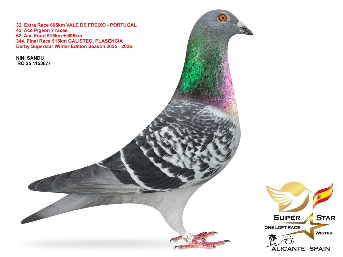 Extra Race 605km Superstar Winter - part 2