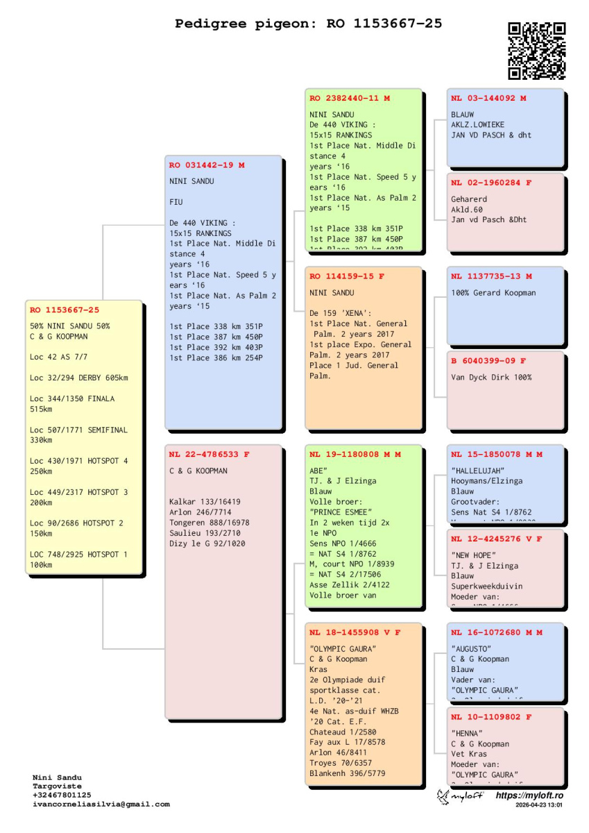 32. Extra Race 605km VALE DE FREIXO - PORTUGAL,
42. Ace Pigeon 7 races,
62. Ace Fond 515km + 605km,
344. Final Race 515km GALISTEO-PLASENCIA
Derby Superstar Winter Edition Season 2025 - 2026 

NINI SANDU
 RO 25 1153677