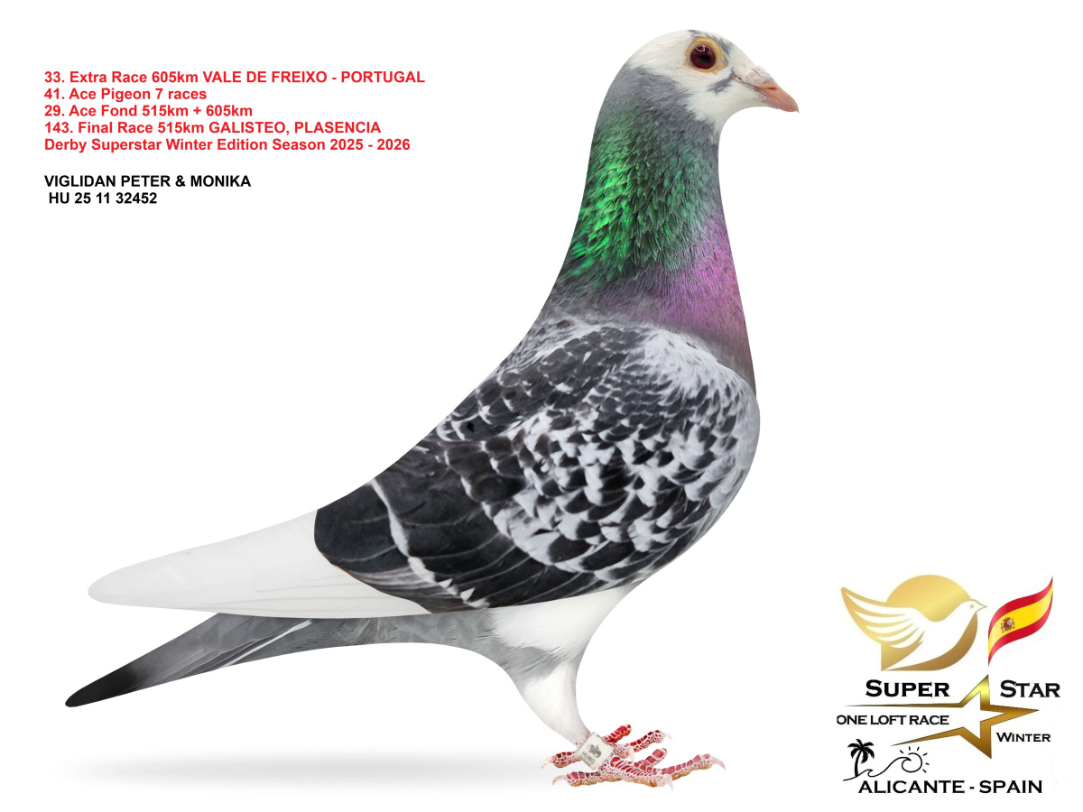 Extra Race 605km Superstar Winter - part 2