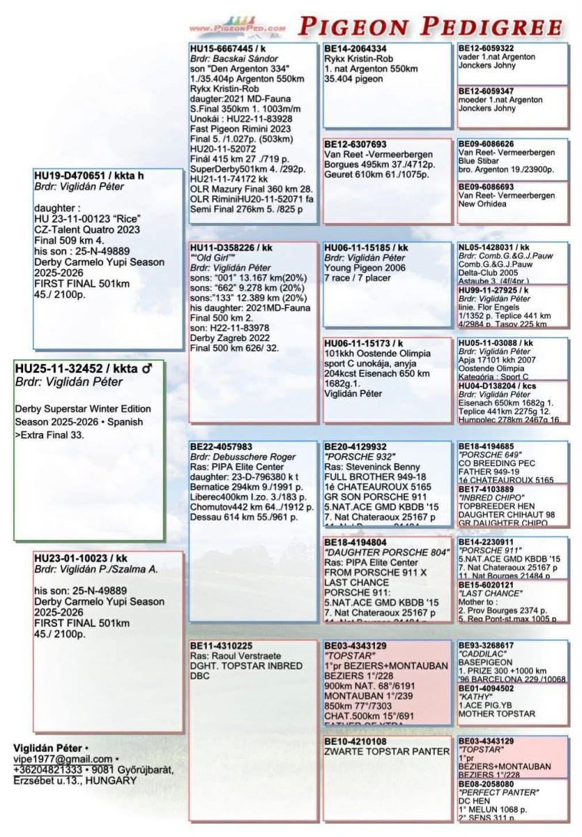 33. Extra Race 605km VALE DE FREIXO - PORTUGAL,
41. Ace Pigeon 7 races,
29. Ace Fond 515km + 605km,
143. Final Race 515km GALISTEO-PLASENCIA
Derby Superstar Winter Edition Season 2025 - 2026 

VIGLIDAN PETER & MONIKA
 HU 25 11 32452 
