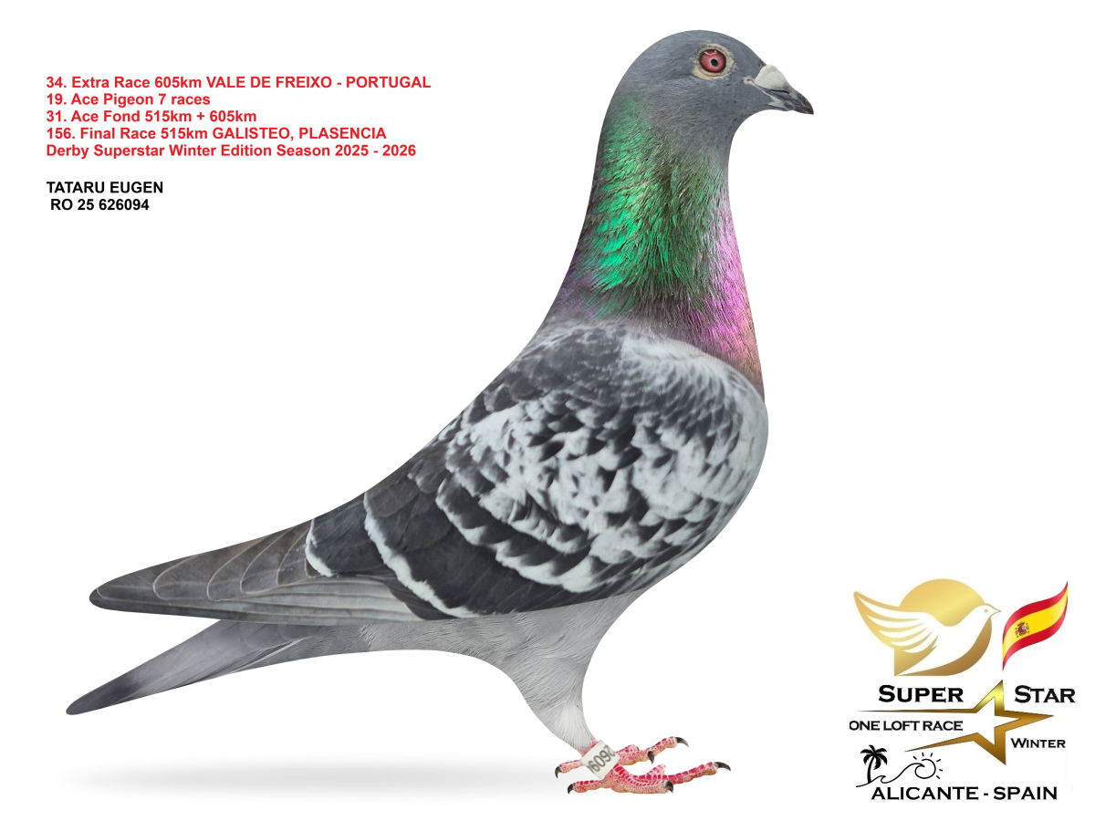 Extra Race 605km Superstar Winter - part 2